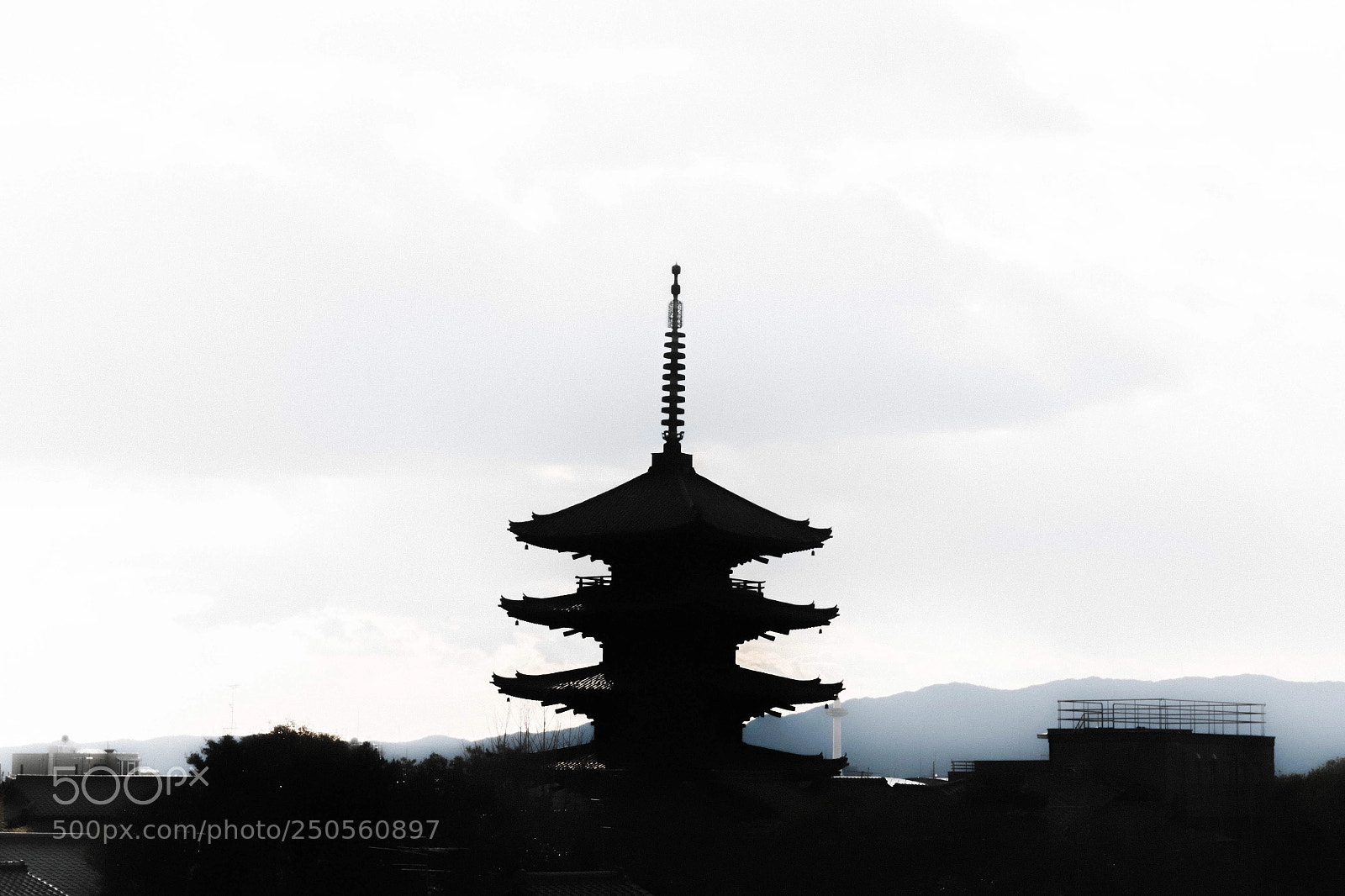 Canon EOS 80D sample photo. Untitled photography