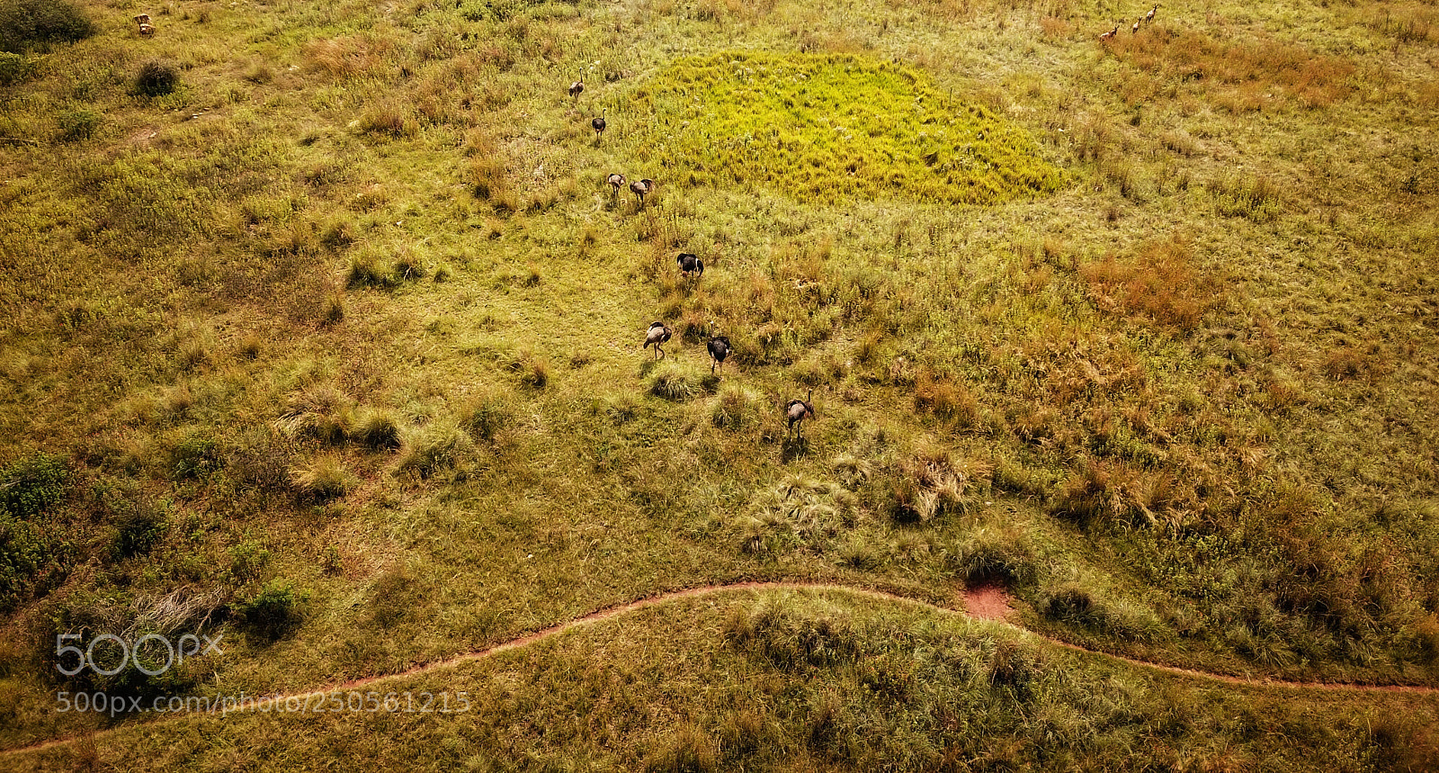DJI FC220 sample photo. Untitled photography