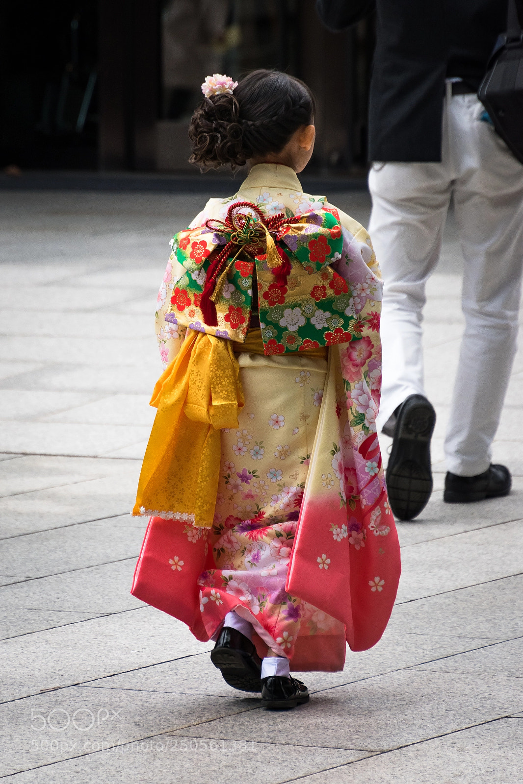 Nikon D5500 sample photo. Meiji shrine photography