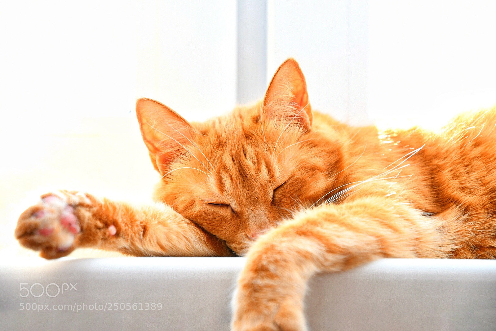 Nikon D7500 sample photo. Untitled photography