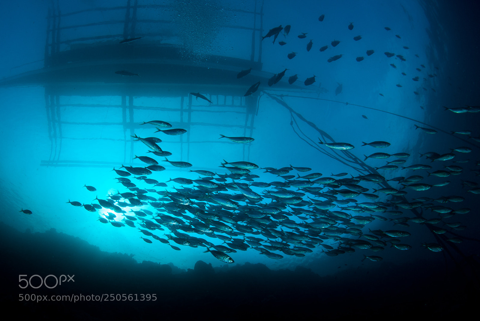 Nikon D200 sample photo. Bancas from below photography