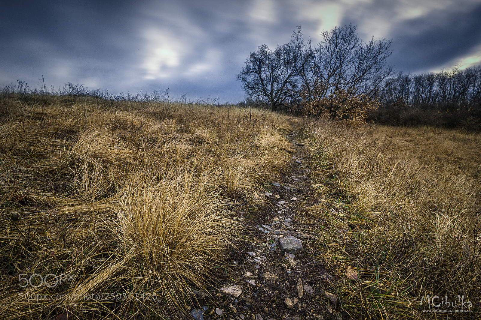 Canon EOS 60D sample photo. Path photography