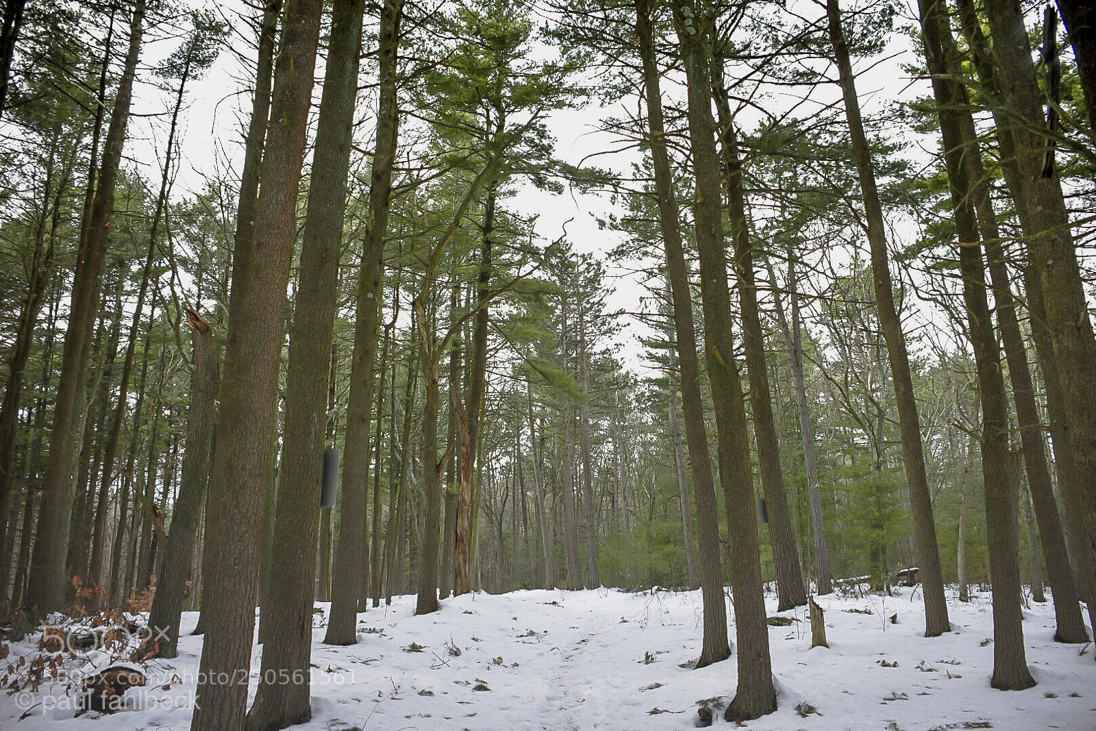 Nikon D7200 sample photo. Friday  photography