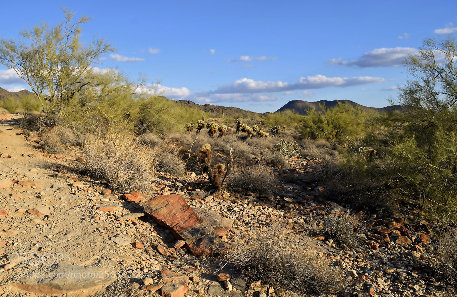 Nikon D5300 sample photo. Gateway loop trail 2 photography