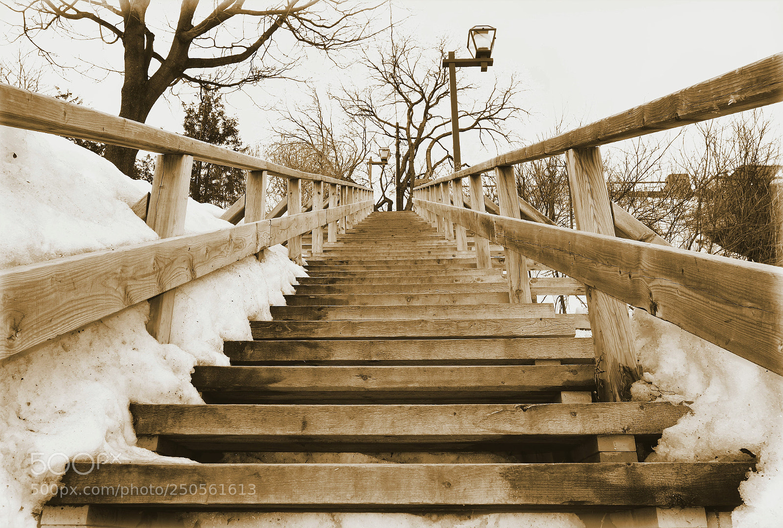 Sony Cyber-shot DSC-RX100 sample photo. Stairway to heaven ? photography