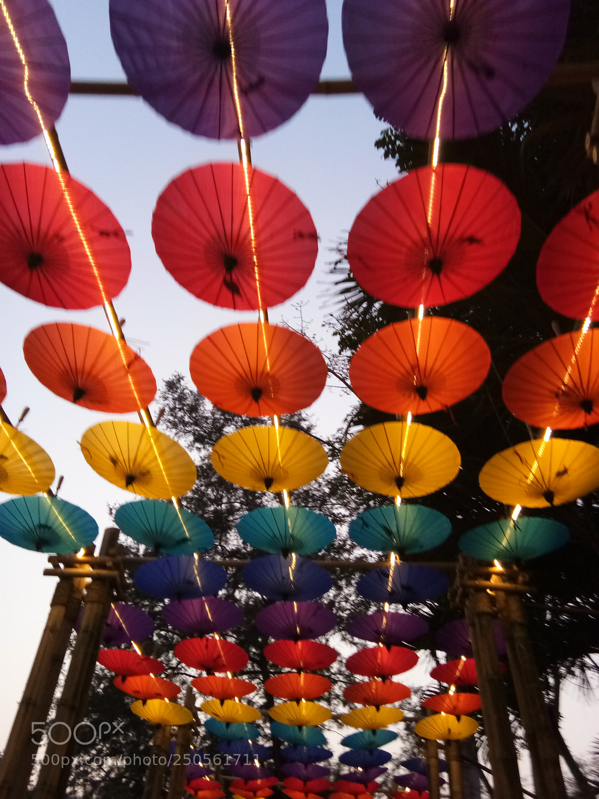 vivo 1601 sample photo. Untitled photography