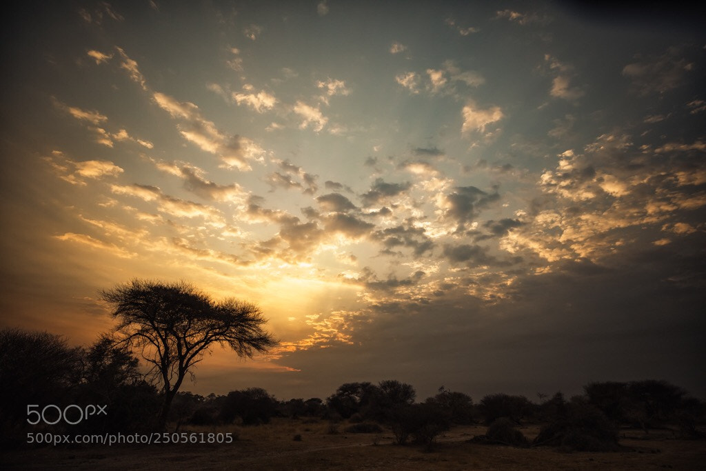 Canon EOS 5D Mark IV sample photo. Mohambo sunrise photography