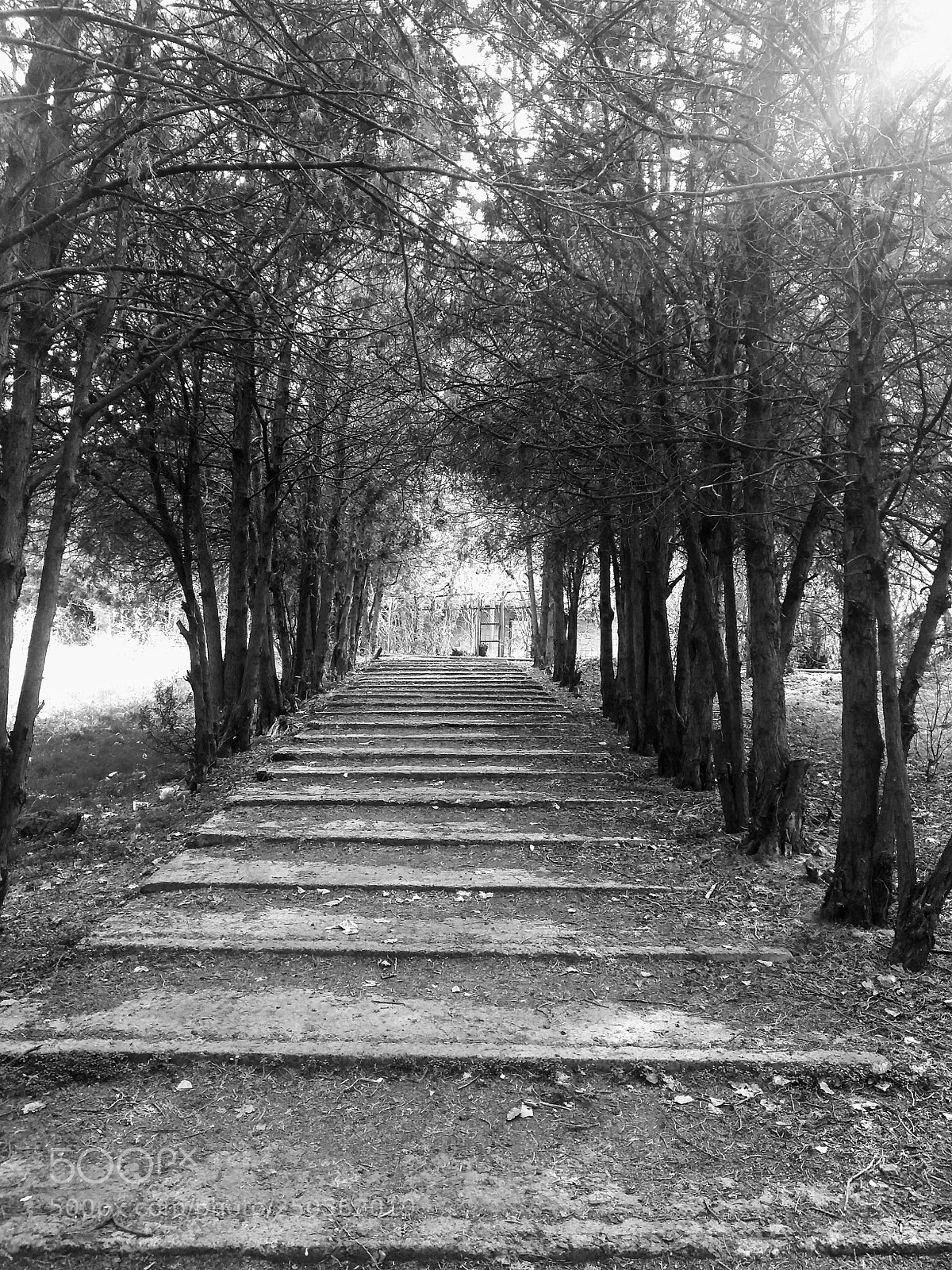 Motorola Moto G (5S) Plus sample photo. Abovyan city park photography