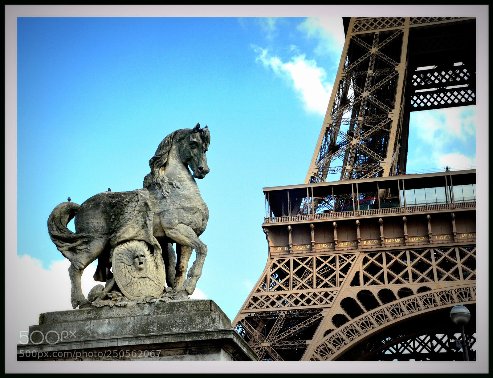 Nikon D7000 sample photo. The gallic warrior photography