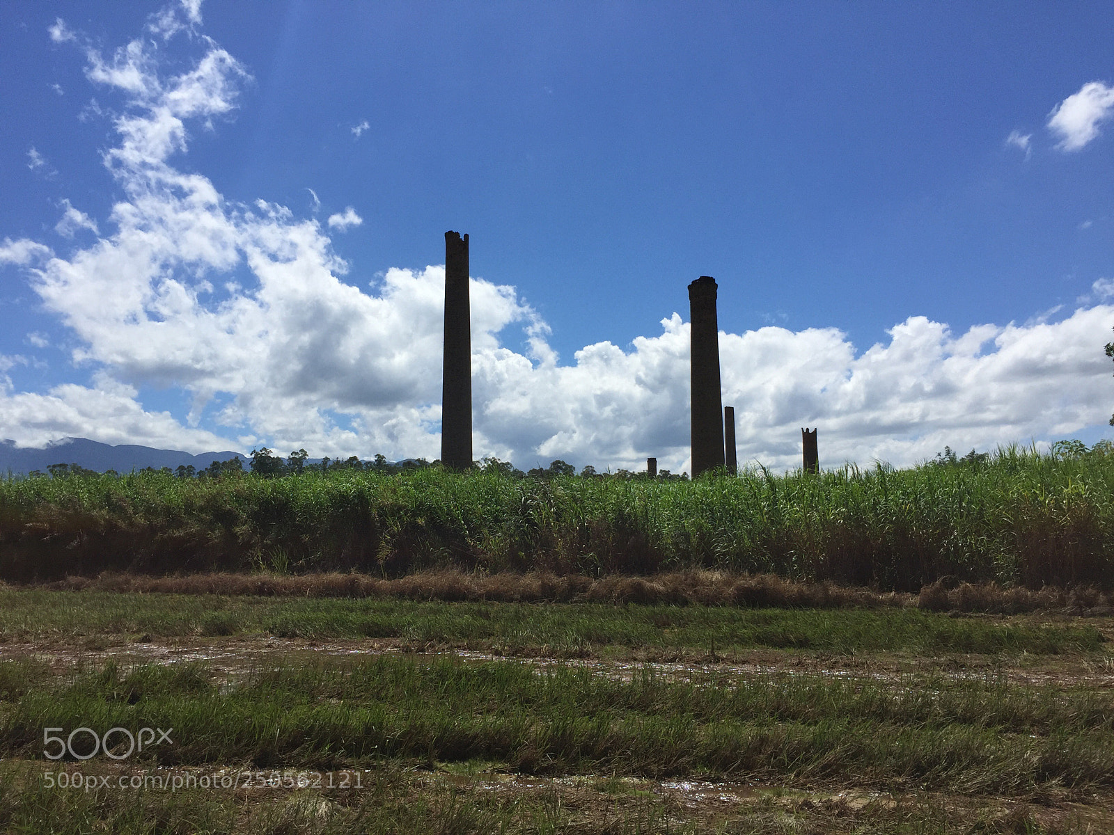 Apple iPhone 6 sample photo. Untitled photography
