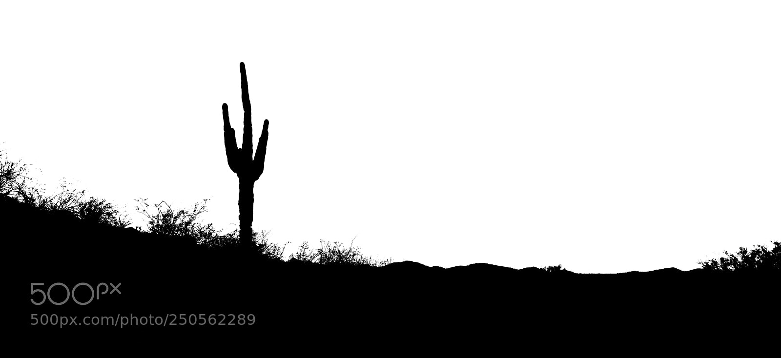 Nikon D5300 sample photo. Black and white desert photography