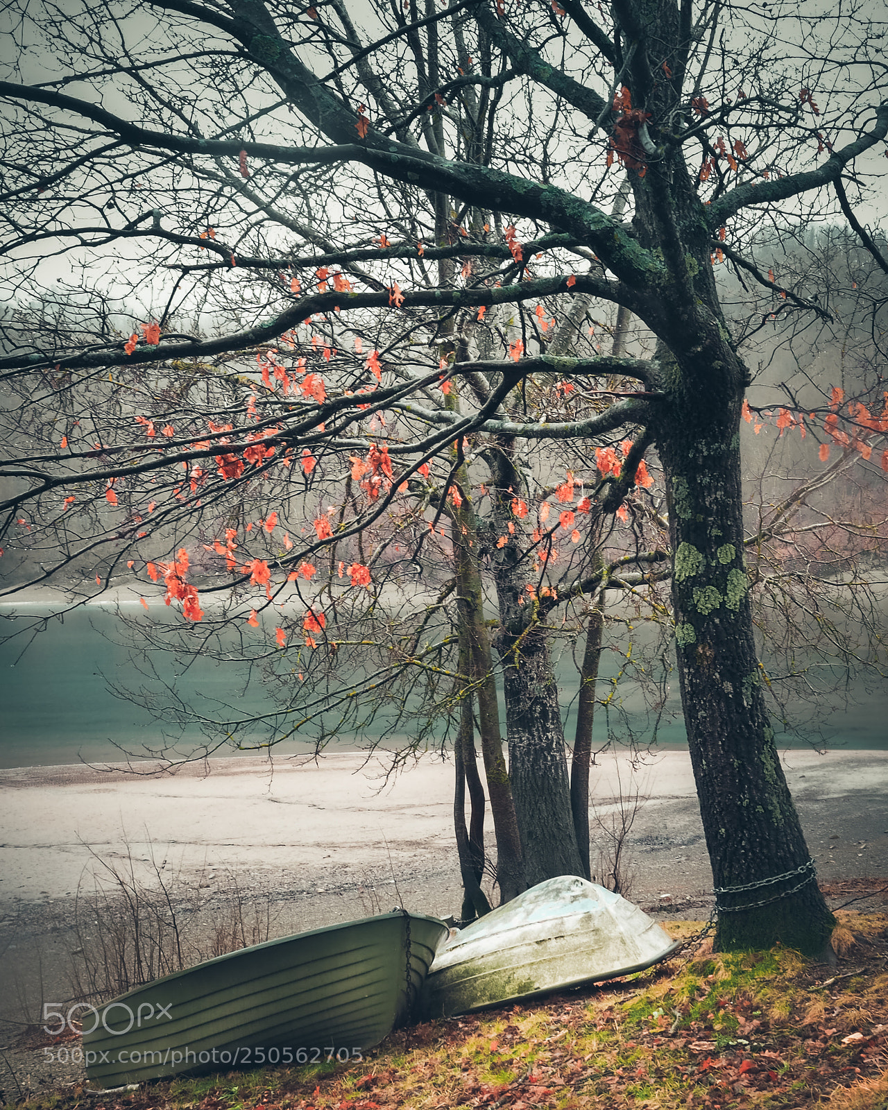 Olympus OM-D E-M10 sample photo. Sulla riva photography