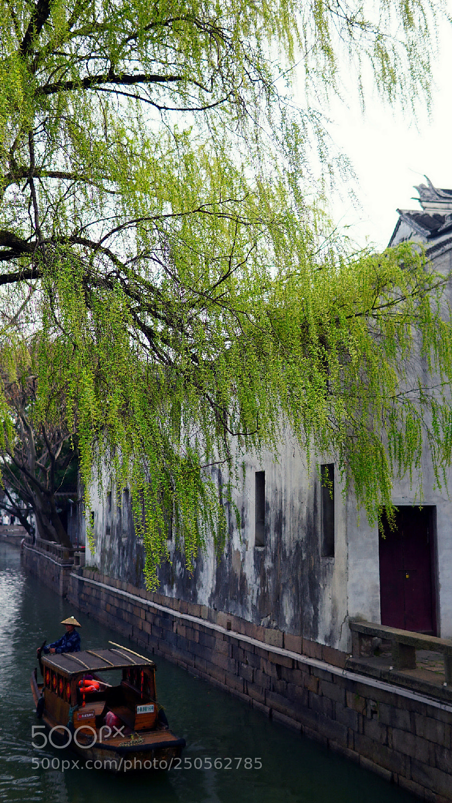 Sony a6000 sample photo. 绿柳游船 photography