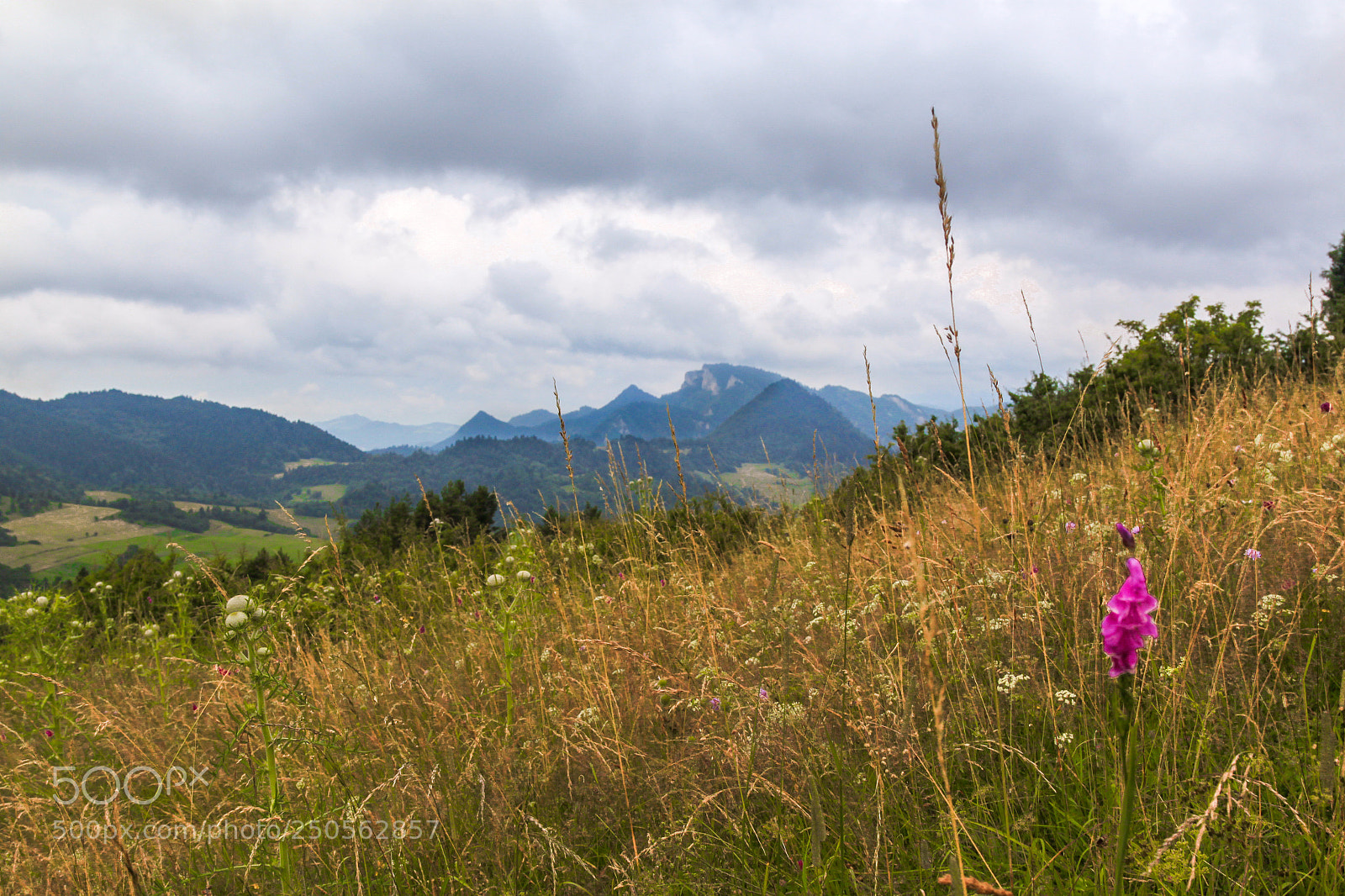 Canon EOS 500D (EOS Rebel T1i / EOS Kiss X3) sample photo. Pieniny photography