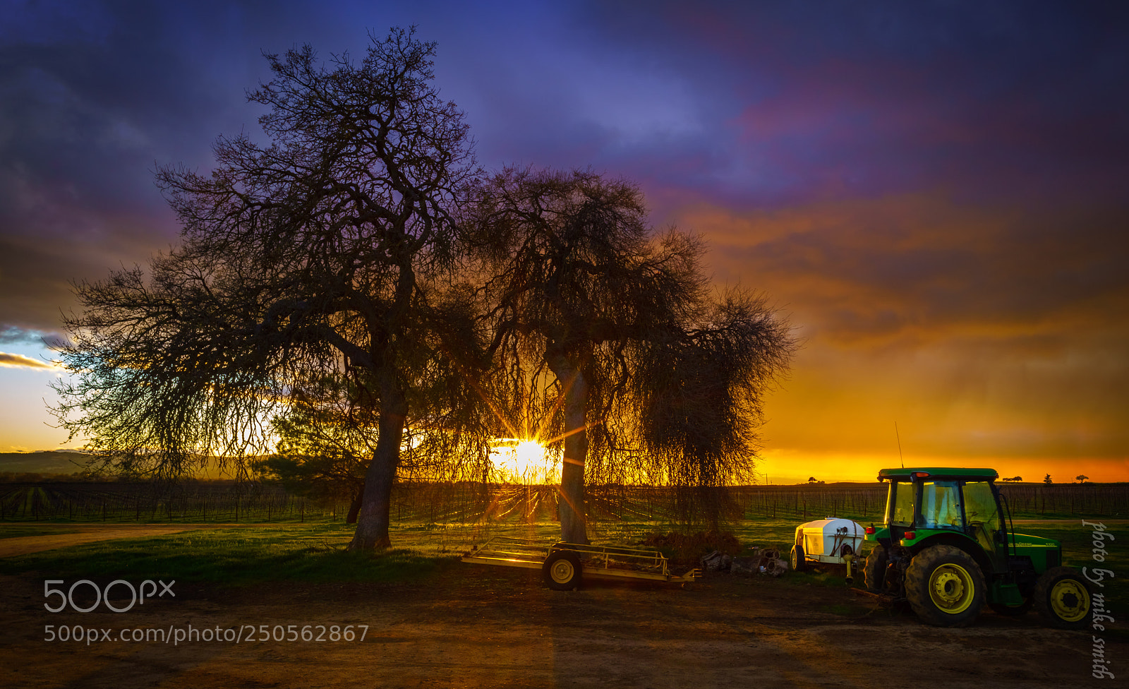 Sony a7R II sample photo. Another sunset wine country photography