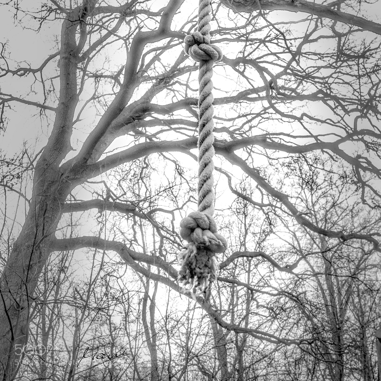 Nikon D90 sample photo. Take the challenge photography