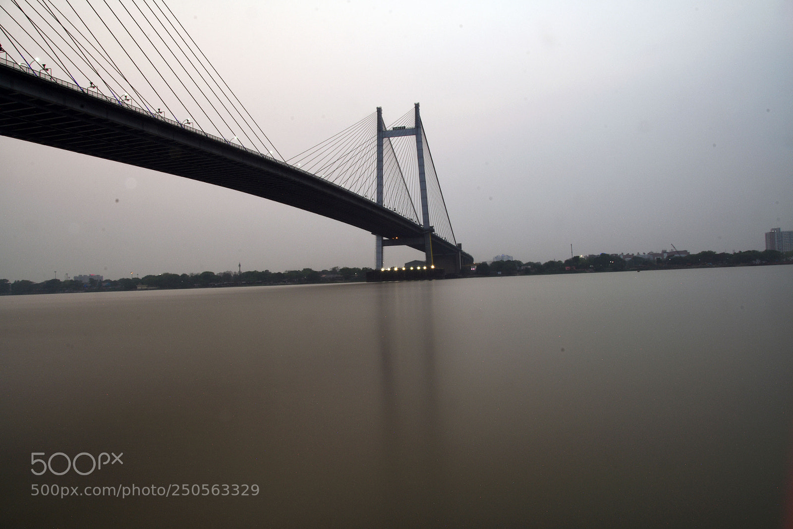 Nikon D7200 sample photo. An afternoon greeting photography