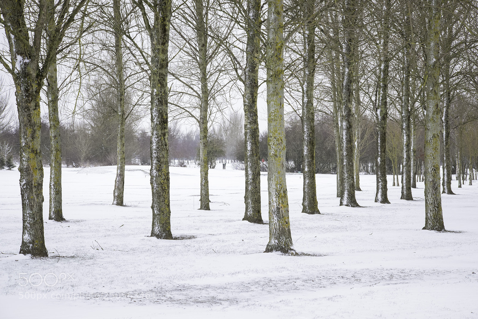 Fujifilm X-T1 sample photo. Winter photography