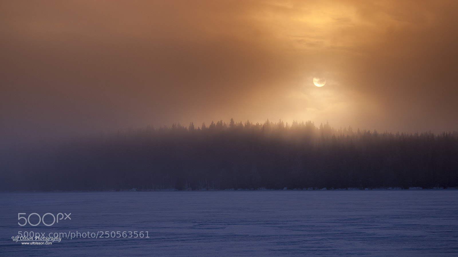 Nikon D200 sample photo. The sun behind wintermist photography