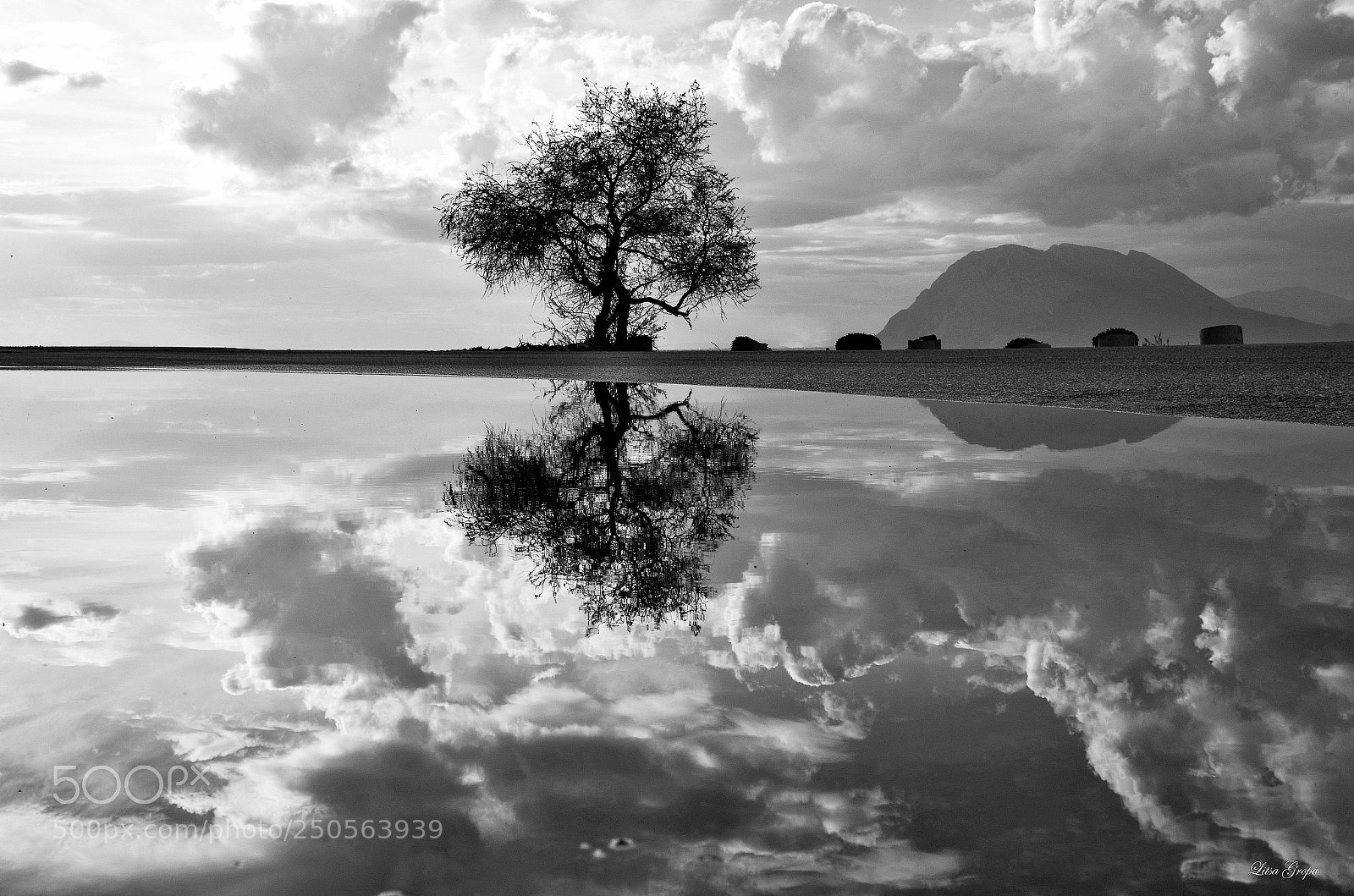 Nikon D5100 sample photo. Nature reflection photography