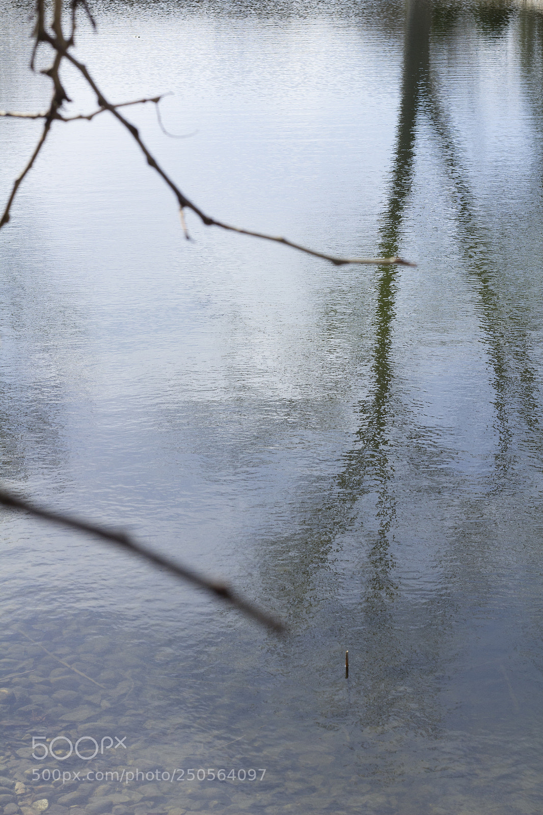 Canon EOS 1200D (EOS Rebel T5 / EOS Kiss X70 / EOS Hi) sample photo. Reflection of branches and photography