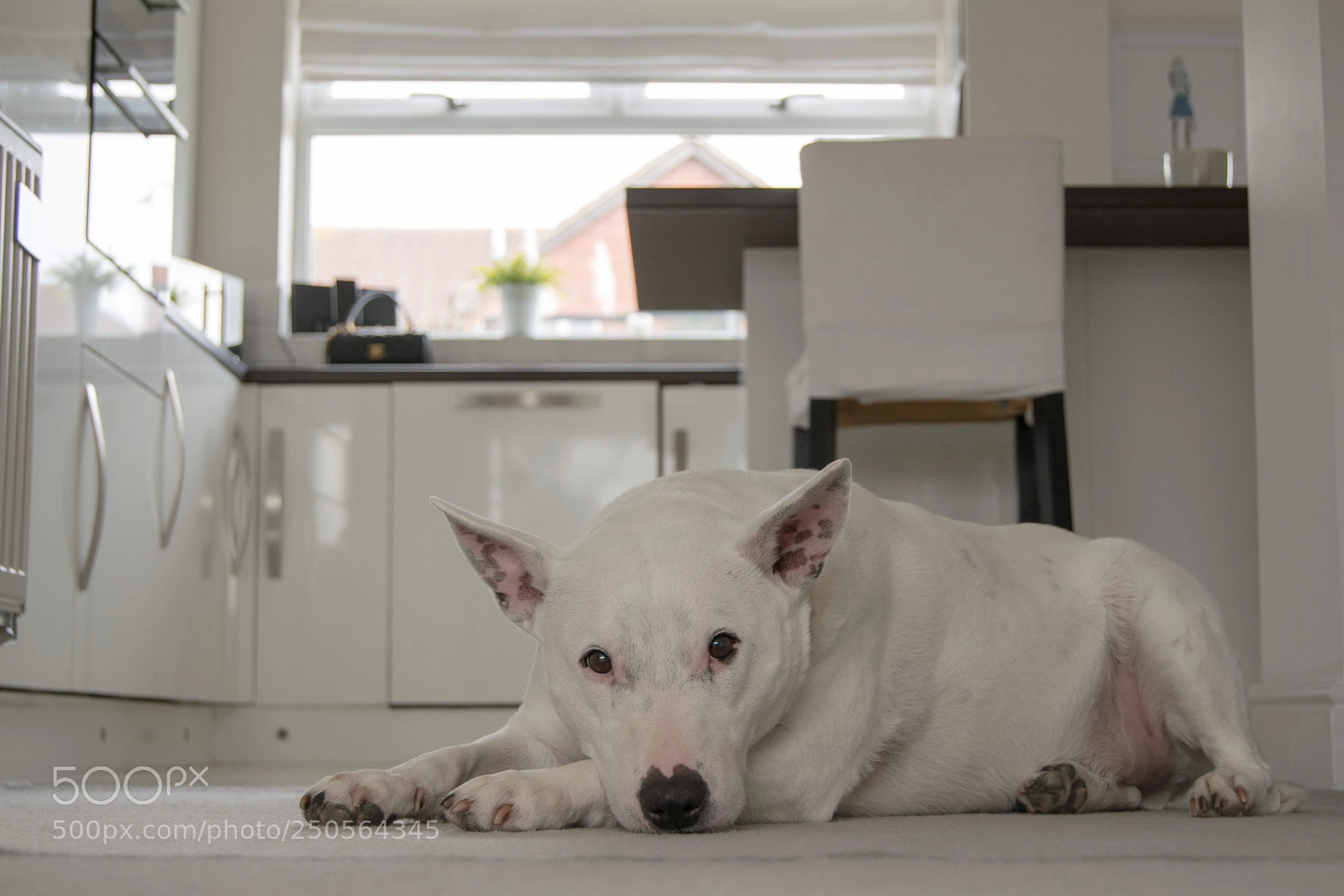Nikon D3300 sample photo. Relaxing photography
