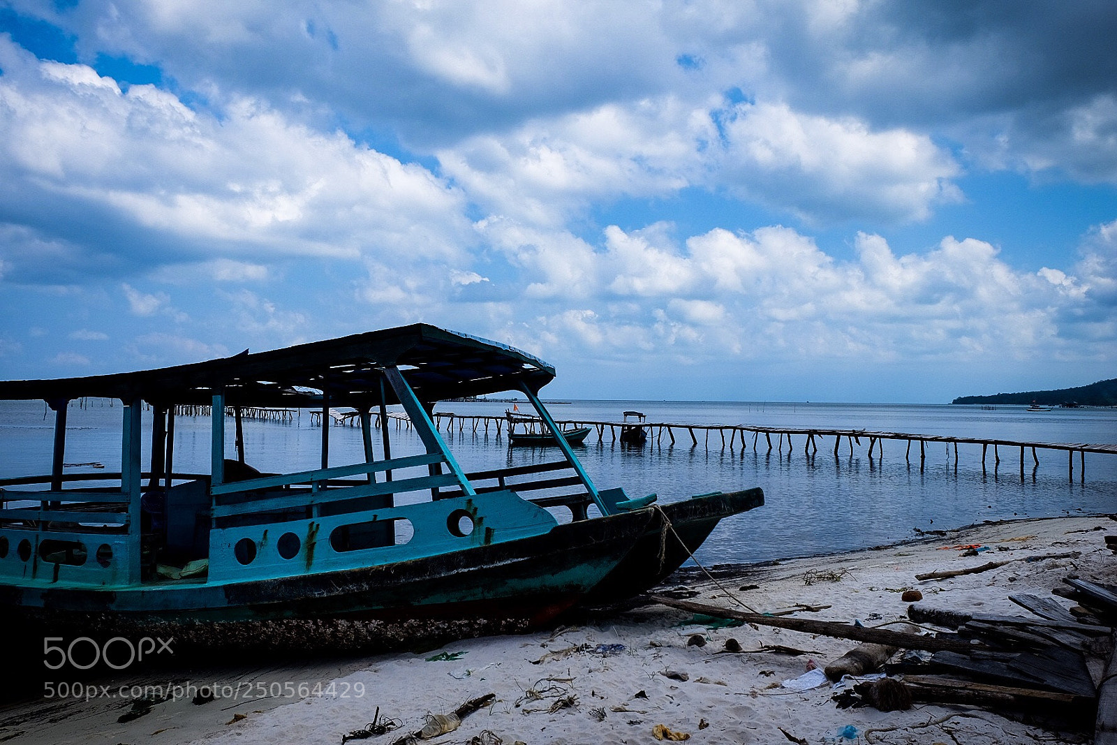 Fujifilm X-T10 sample photo. Eternal sunshine photography
