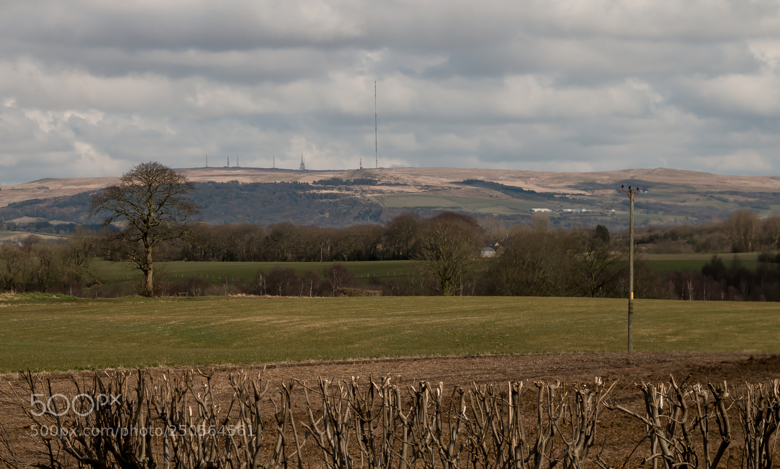 Canon EOS 70D sample photo. Farmers field and winter photography