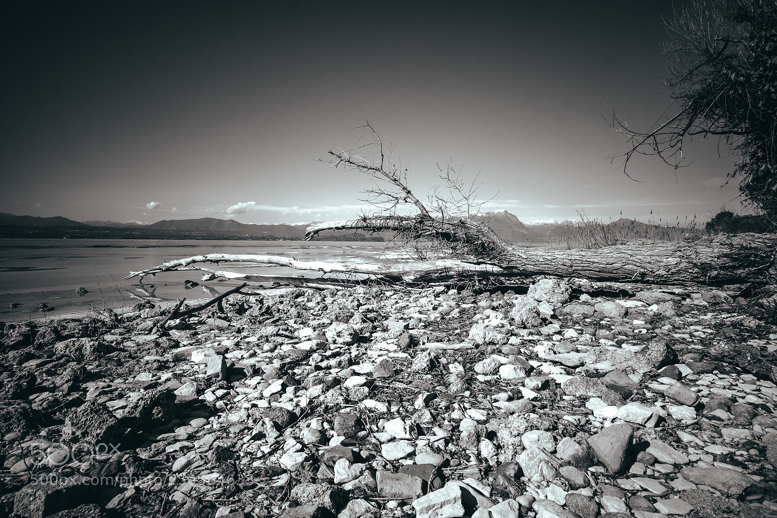 Fujifilm X-T10 sample photo. Landscape bw photography