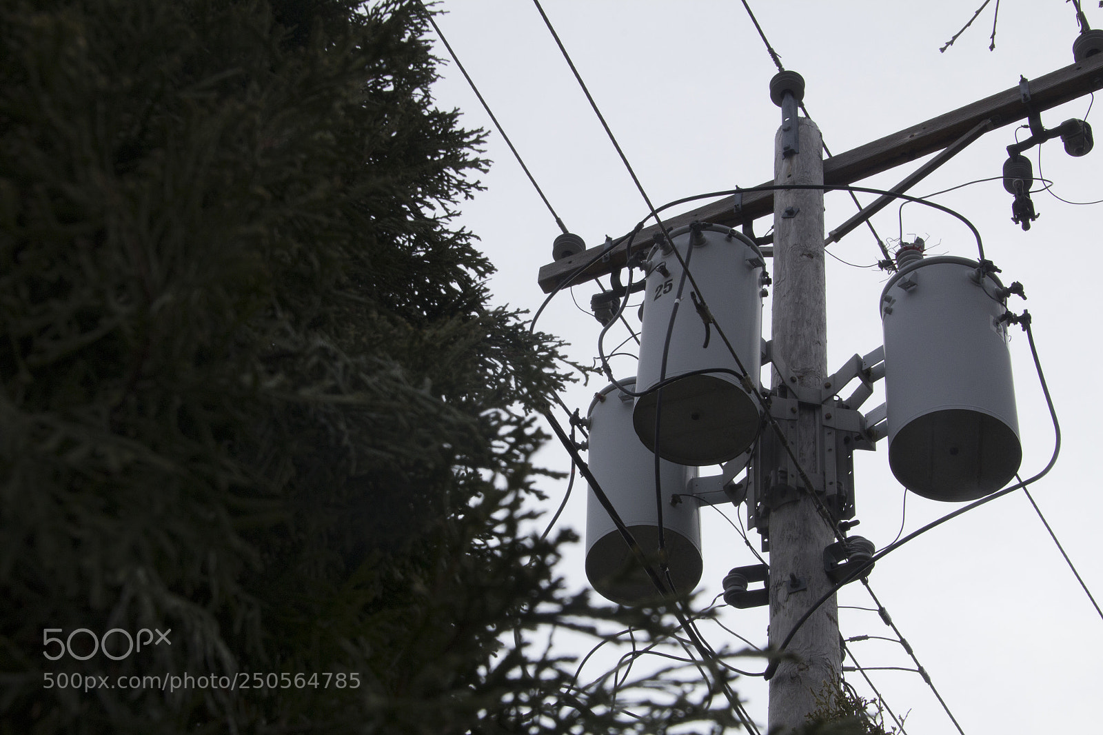 Canon EOS 1200D (EOS Rebel T5 / EOS Kiss X70 / EOS Hi) sample photo. Energy and branches. photography