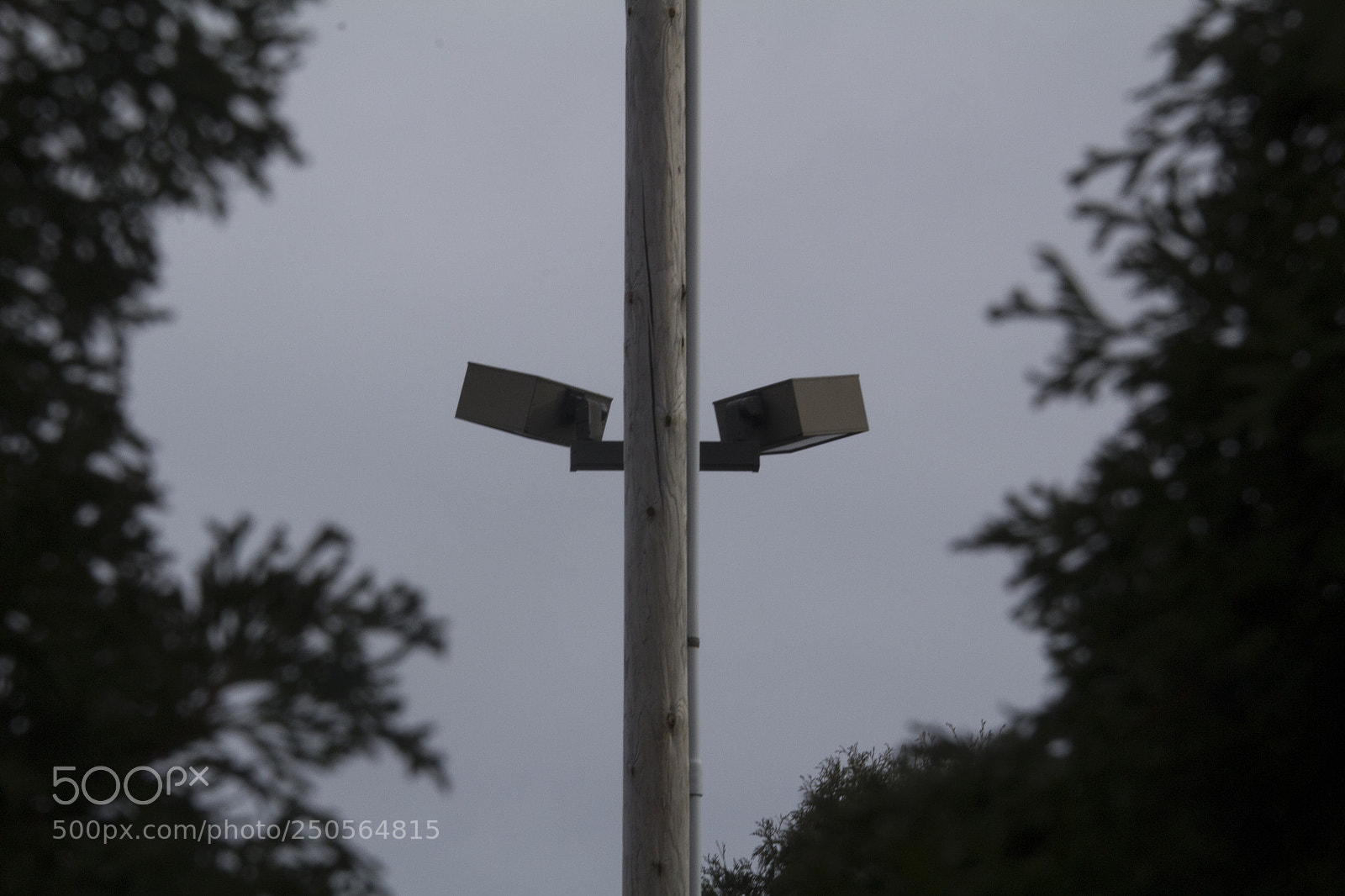Canon EOS 1200D (EOS Rebel T5 / EOS Kiss X70 / EOS Hi) sample photo. Wooden lights. photography