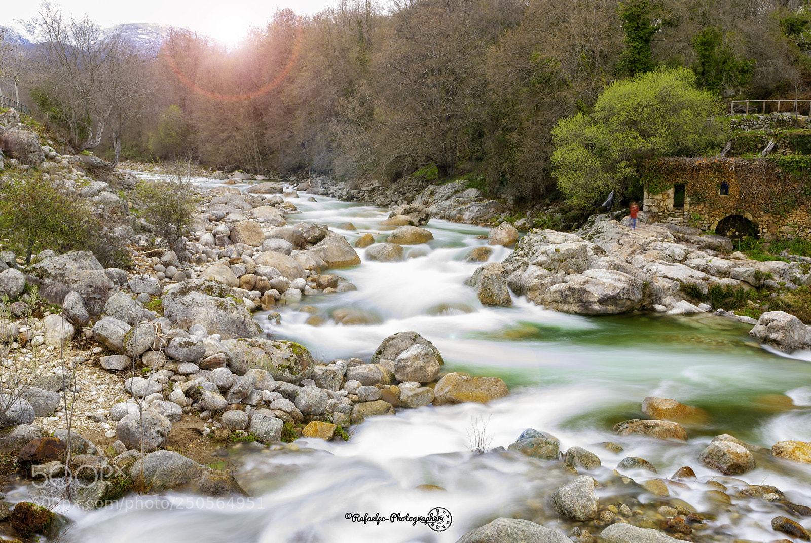 Nikon D40X sample photo. Creek photography