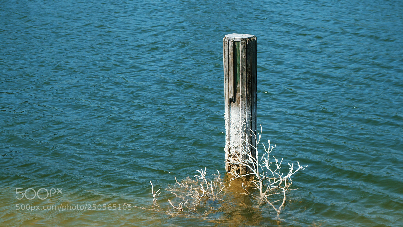 Sony Cyber-shot DSC-RX100 II sample photo. Sun bleached wooden post photography