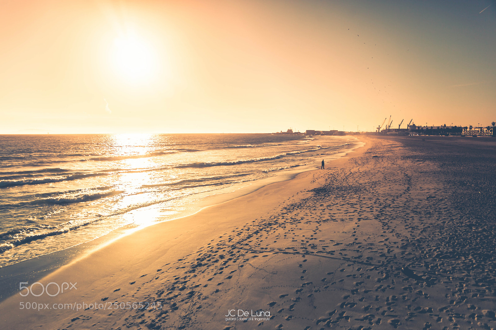 Canon EOS 5D Mark II sample photo. The last man standing photography