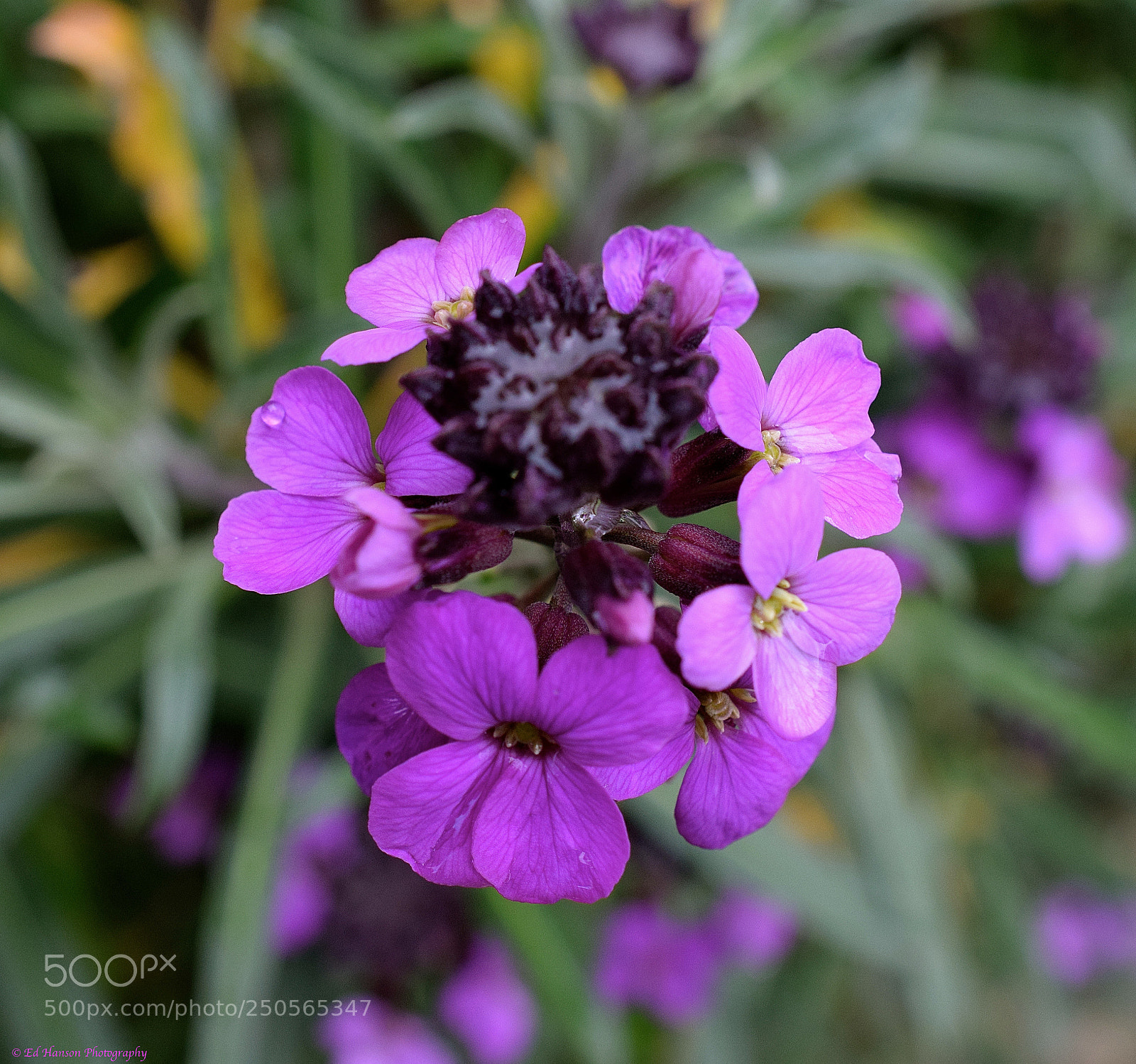 Nikon D3300 sample photo. Can't go wrong with photography
