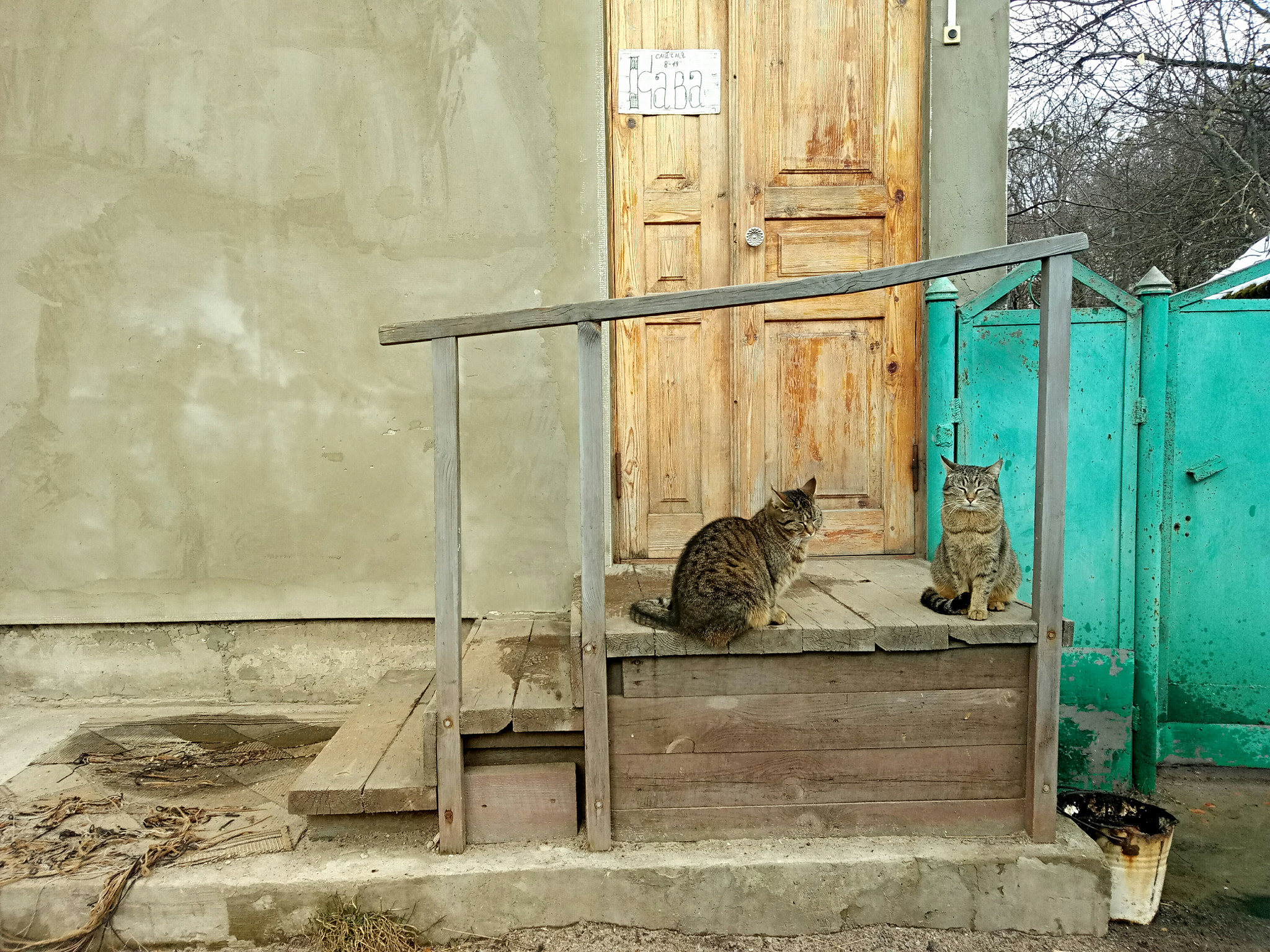 Meizu U20 sample photo