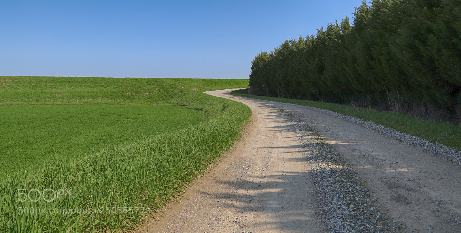 Canon EOS 6D Mark II sample photo. Country photography