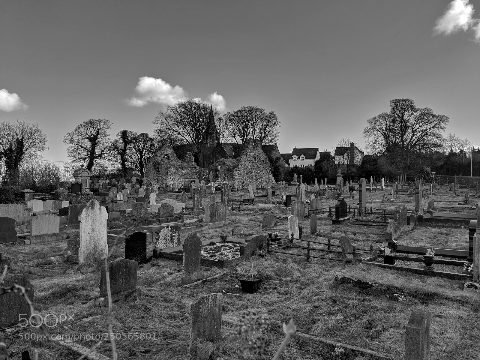 Google Pixel 2 XL sample photo. Templecorran photography