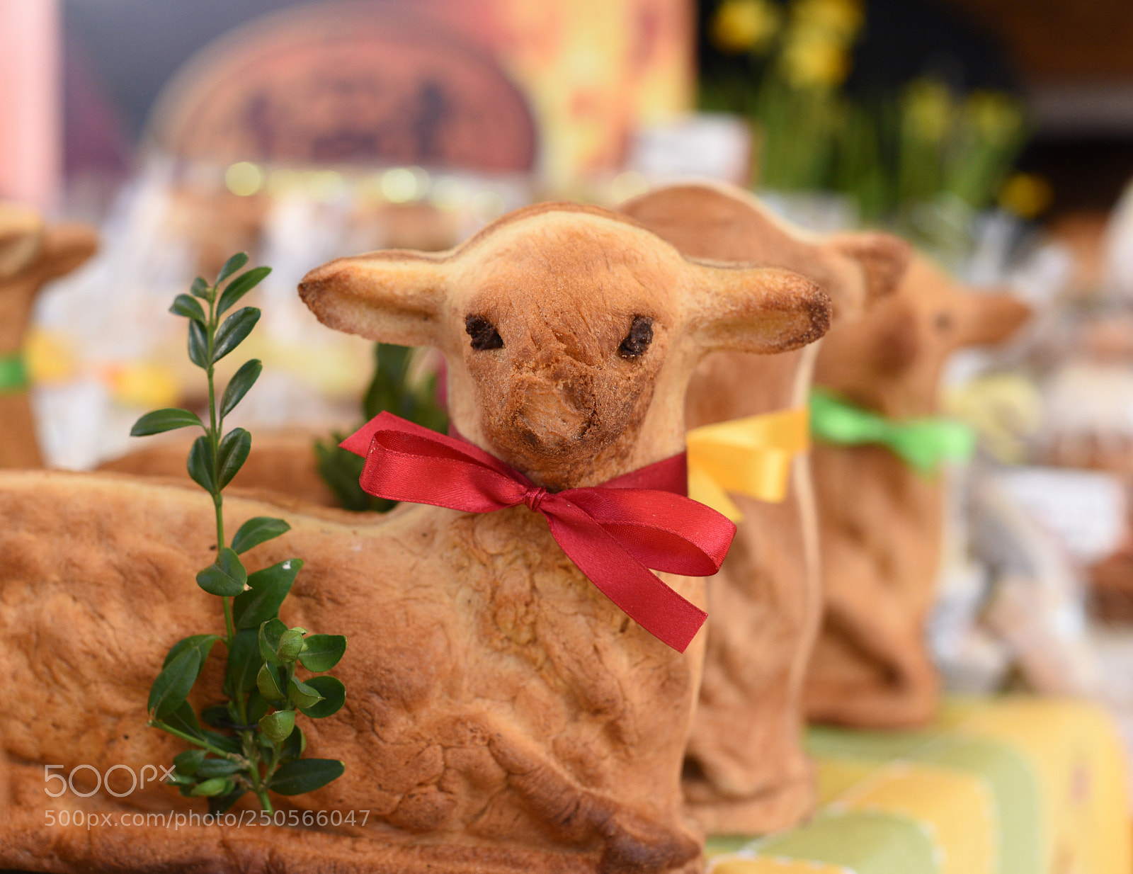 Nikon D810 sample photo. Row of traditional polish photography