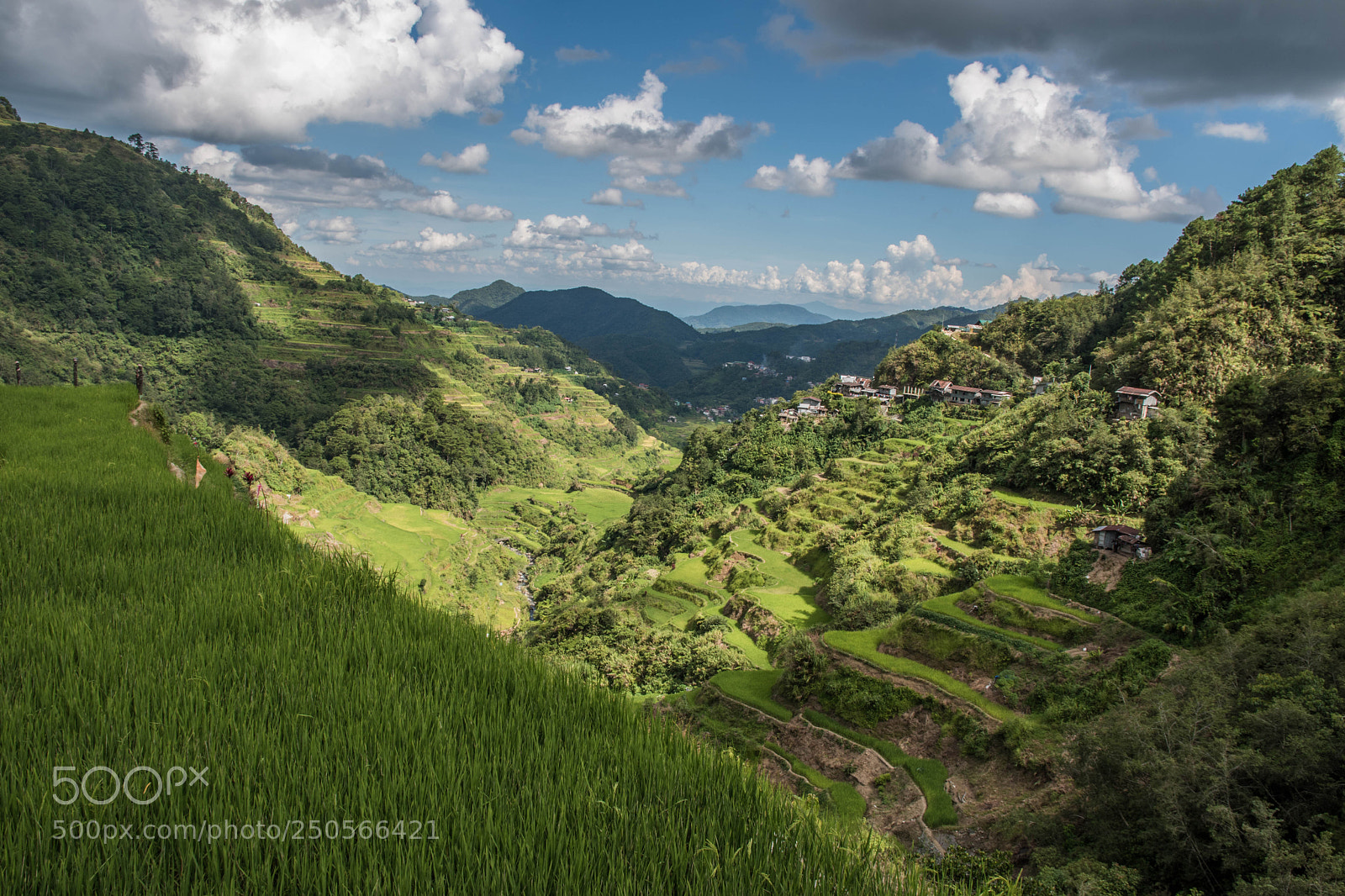 Nikon D5500 sample photo. North luzon photography