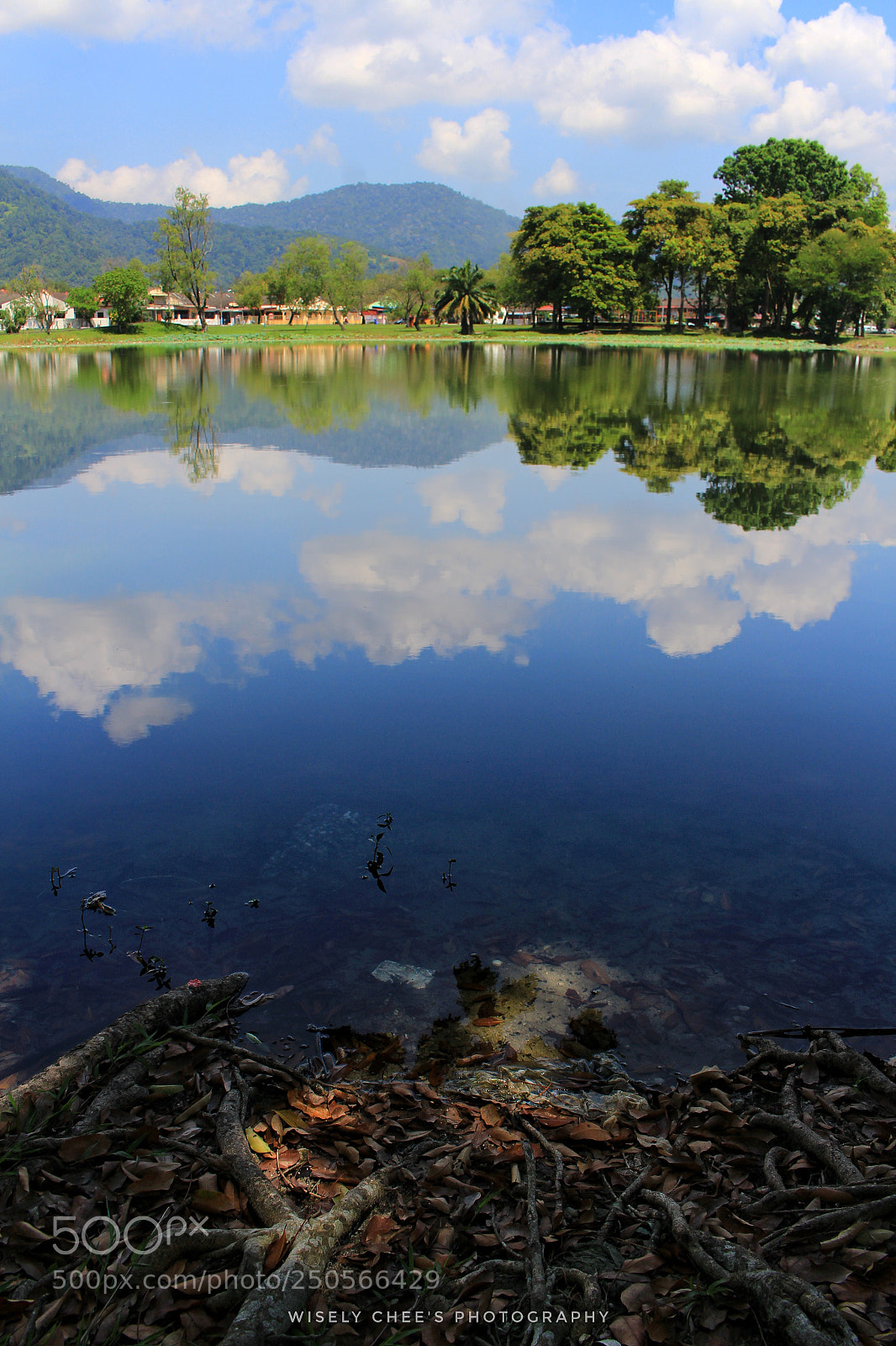 Canon EOS 100D (EOS Rebel SL1 / EOS Kiss X7) sample photo. 蓝天白云清水湾 photography