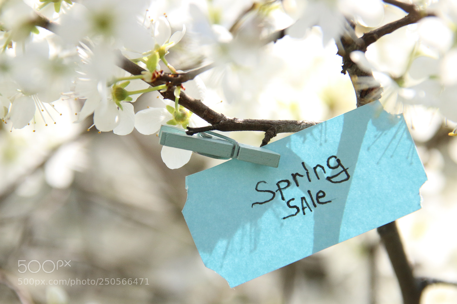 Canon EOS 70D sample photo. Spring sale tag and photography
