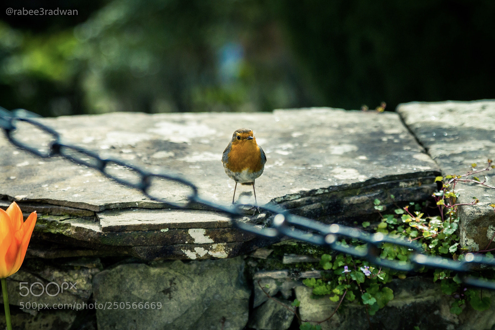 Canon EOS 70D sample photo. Untitled photography