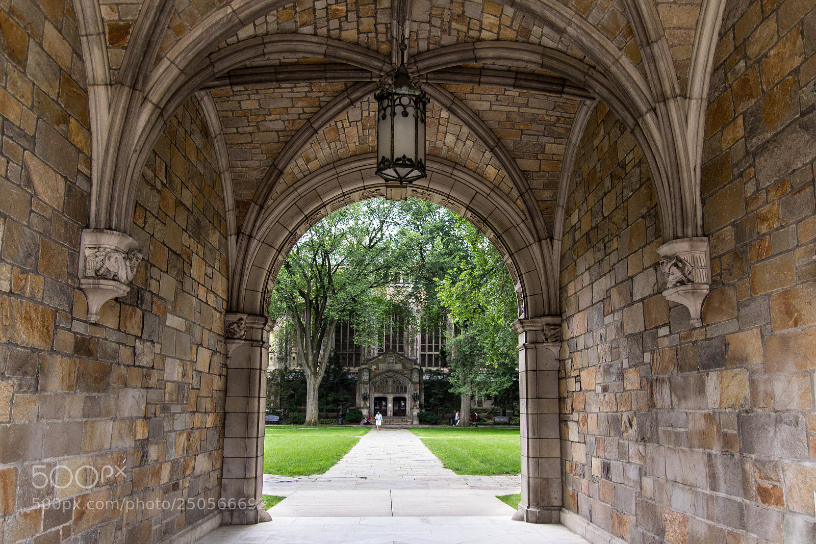 Canon EOS 600D (Rebel EOS T3i / EOS Kiss X5) sample photo. Law quadrangle photography