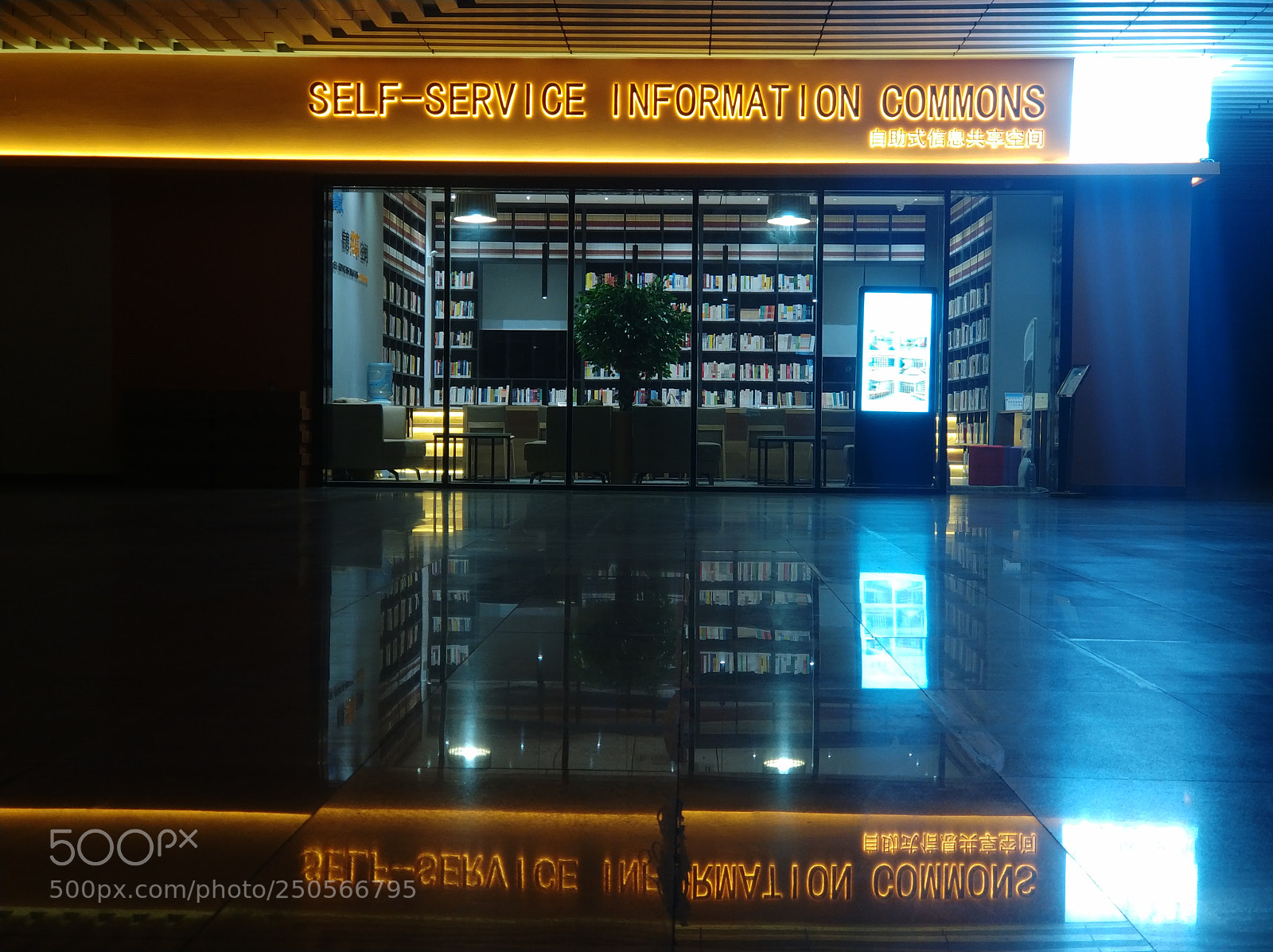 Xiaomi Mi Note 3 sample photo. Untitled photography