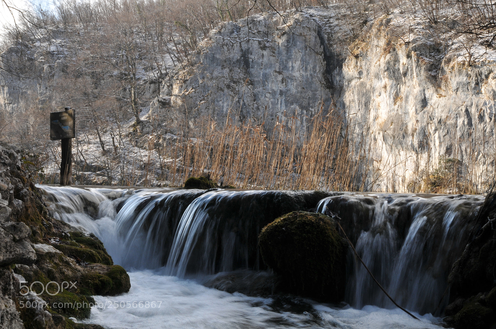 Nikon D300 sample photo. Untitled photography
