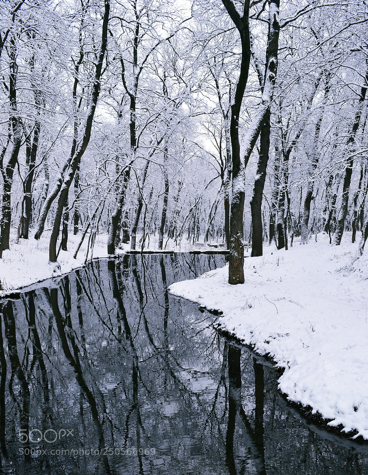 Nikon D3100 sample photo. Winter photography