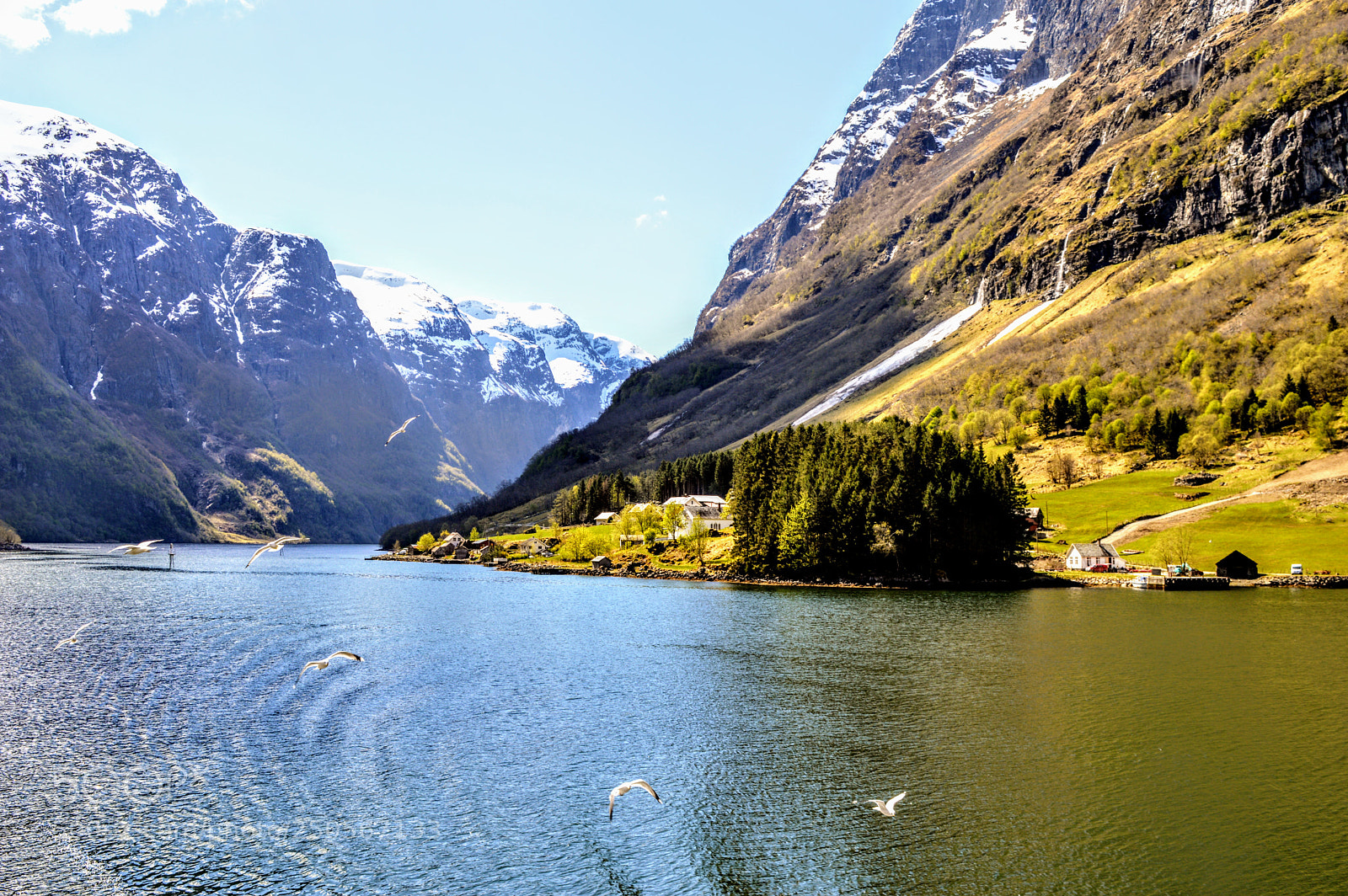 Nikon D3200 sample photo. Fjords of norway photography