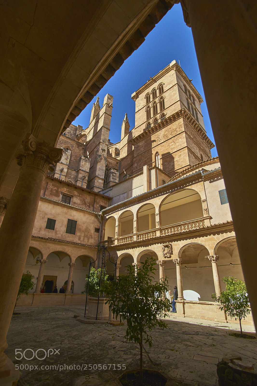 Sony Alpha DSLR-A850 sample photo. Monastery yard in palme photography