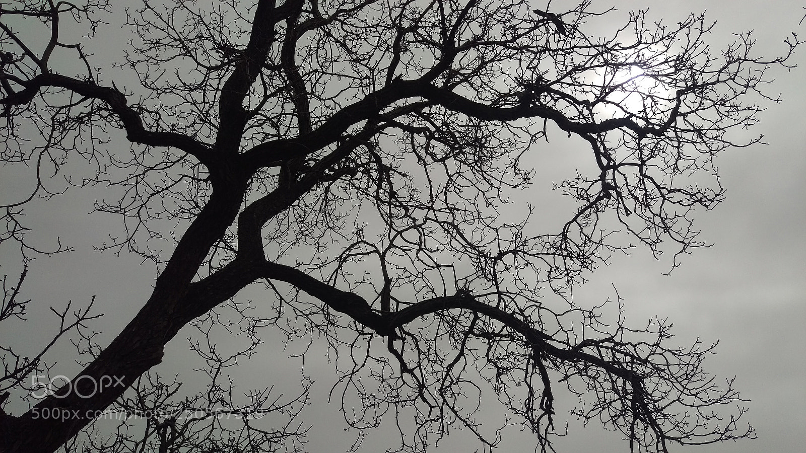 HTC ONE M9 sample photo. Hazy shades of spring photography